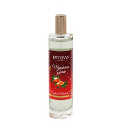 Esteban Frosted Mandarin spray witeczny