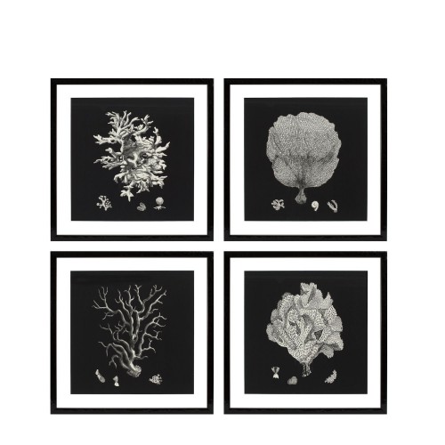 Eichholtz Black & Tan Corals EC191 zestaw 4 fotoobrazw